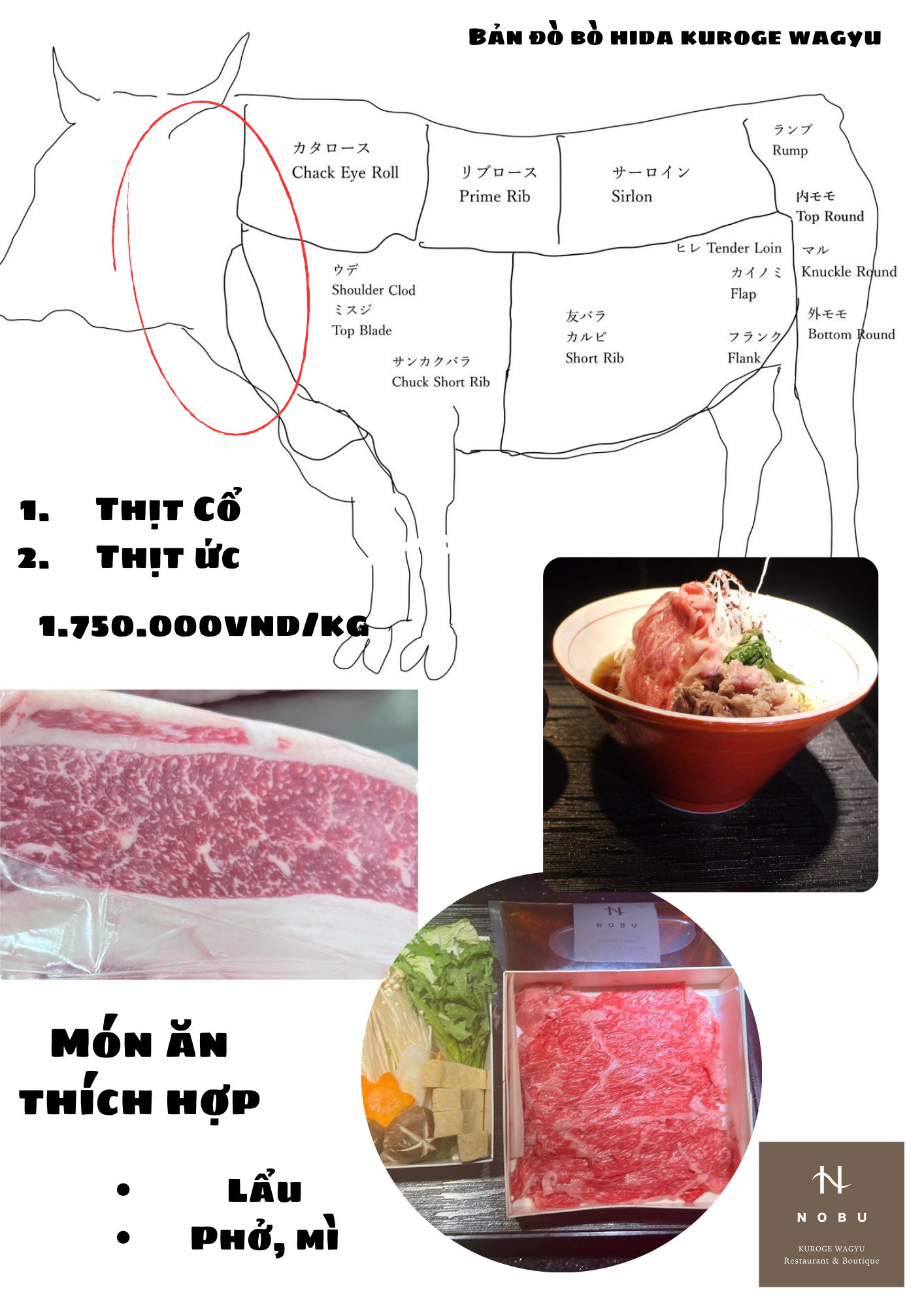 Bản đồ Bò Hida Kuroge Wagyu - Phần 1